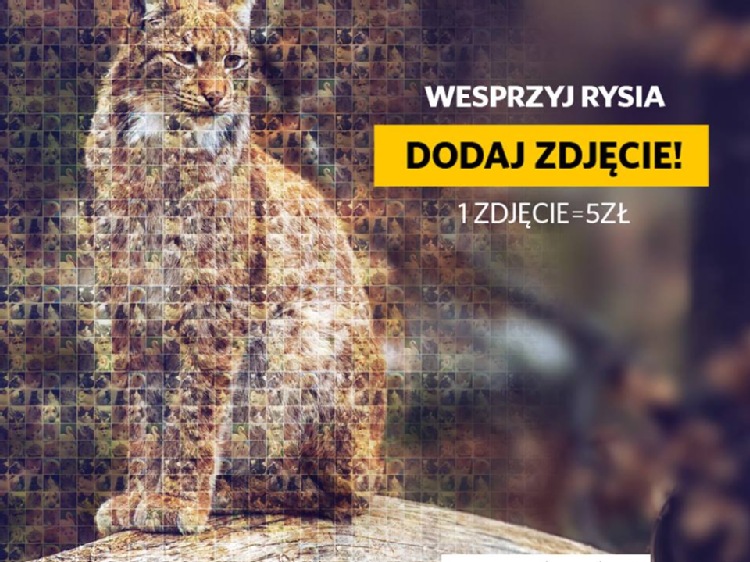 #PIĄTKADLARYSIA - akcja NAT GEO WILD z WWF POLSKA