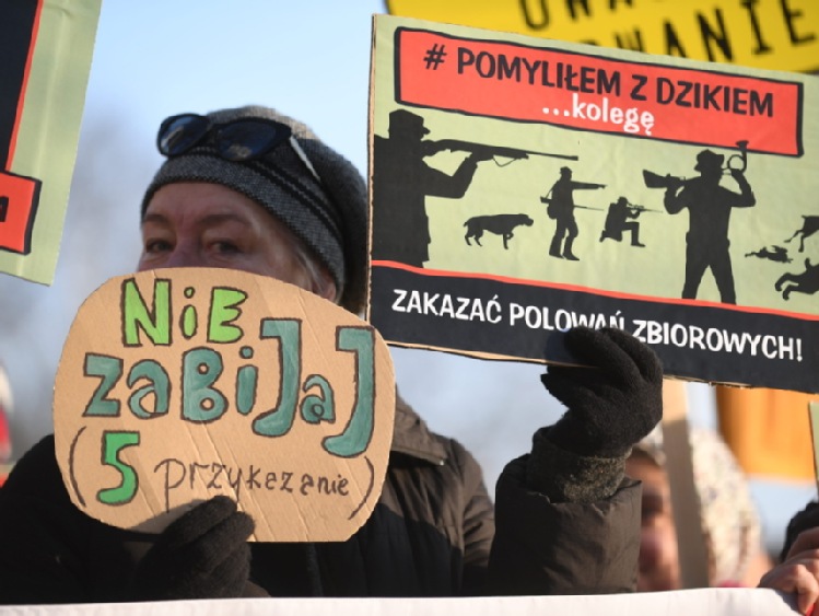 Ekolodzy apelują do prezesa PiS o odrzucenie projektu Prawa łowieckiego