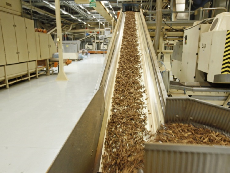 Rośnie produkcja tytoniu na świecie, spada za to w UE, w tym w Polsce