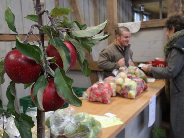 KE przedstawiła projekt w sprawie wsparcia dla producentów owoców i warzyw