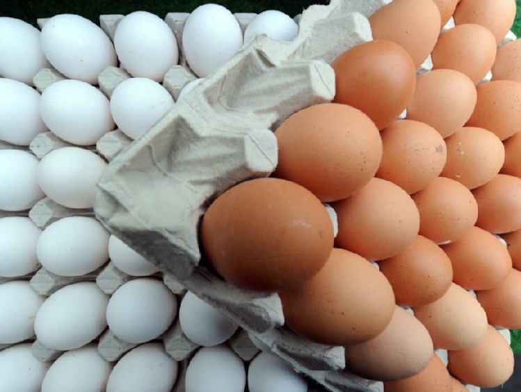 Na wspólnym rynku standardy jaj są jednakowe