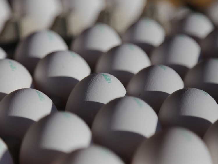 UE  –  spadek eksportu jaj i przetworów w III kwartałach br.