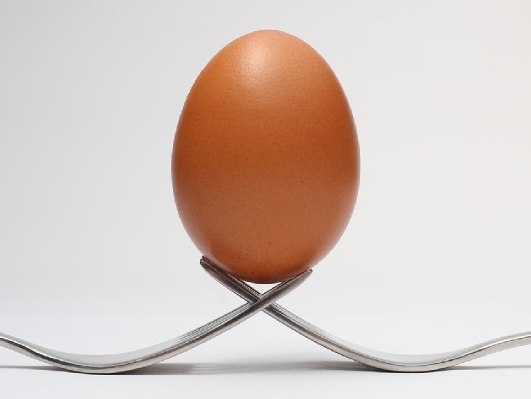 Jajko – źródło życia i skarbnica zdrowia