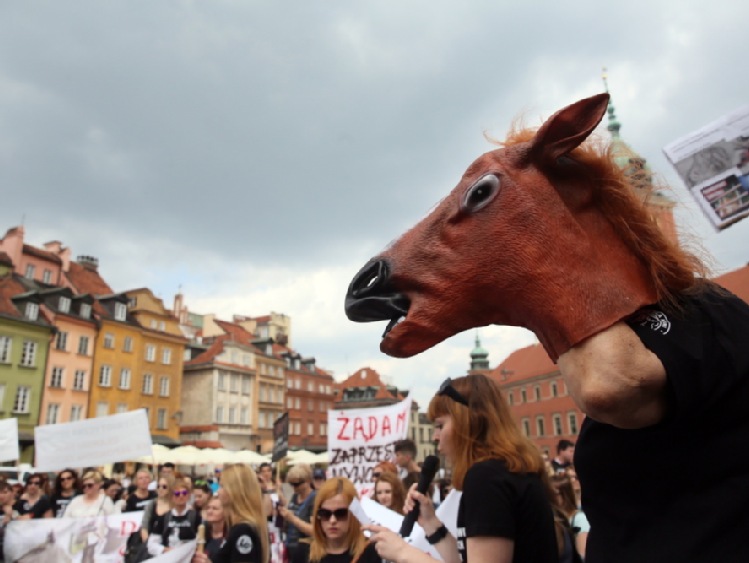 Protest przeciw ubojowi i wywozowi polskich koni na rzeź