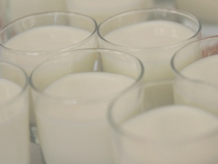 Pomoc dla producentów mleka