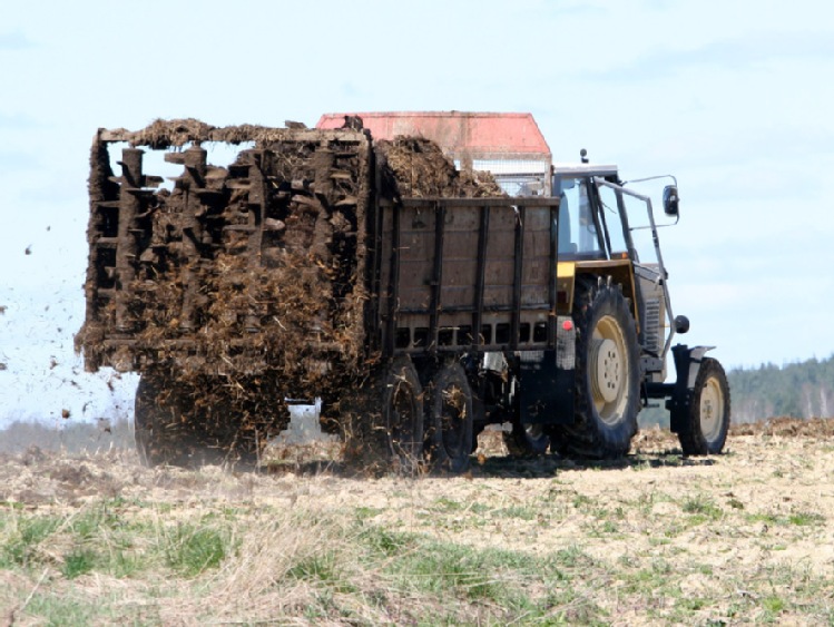 Opolskie: rolnicy importują obornik z Holandii