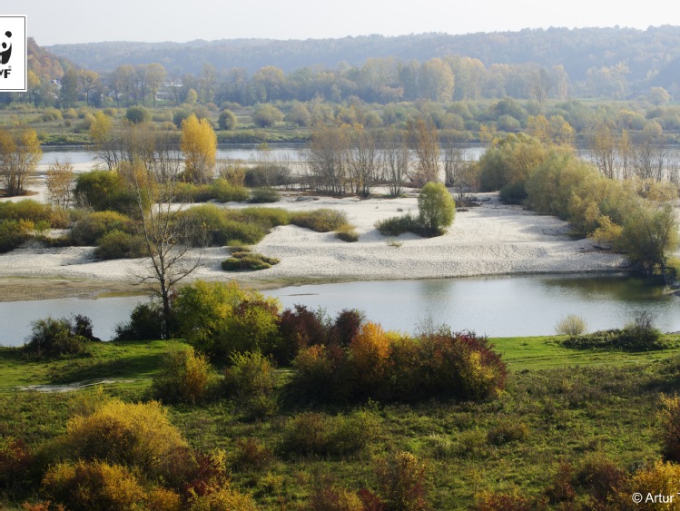 Wisła najpopularniejszą rzeką wśród Polaków