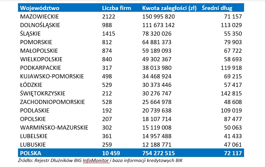 wykaz zadłużonych wg województw