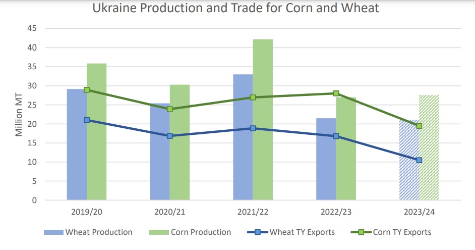 UKRAINA_PRODUKCJA ZIARNA