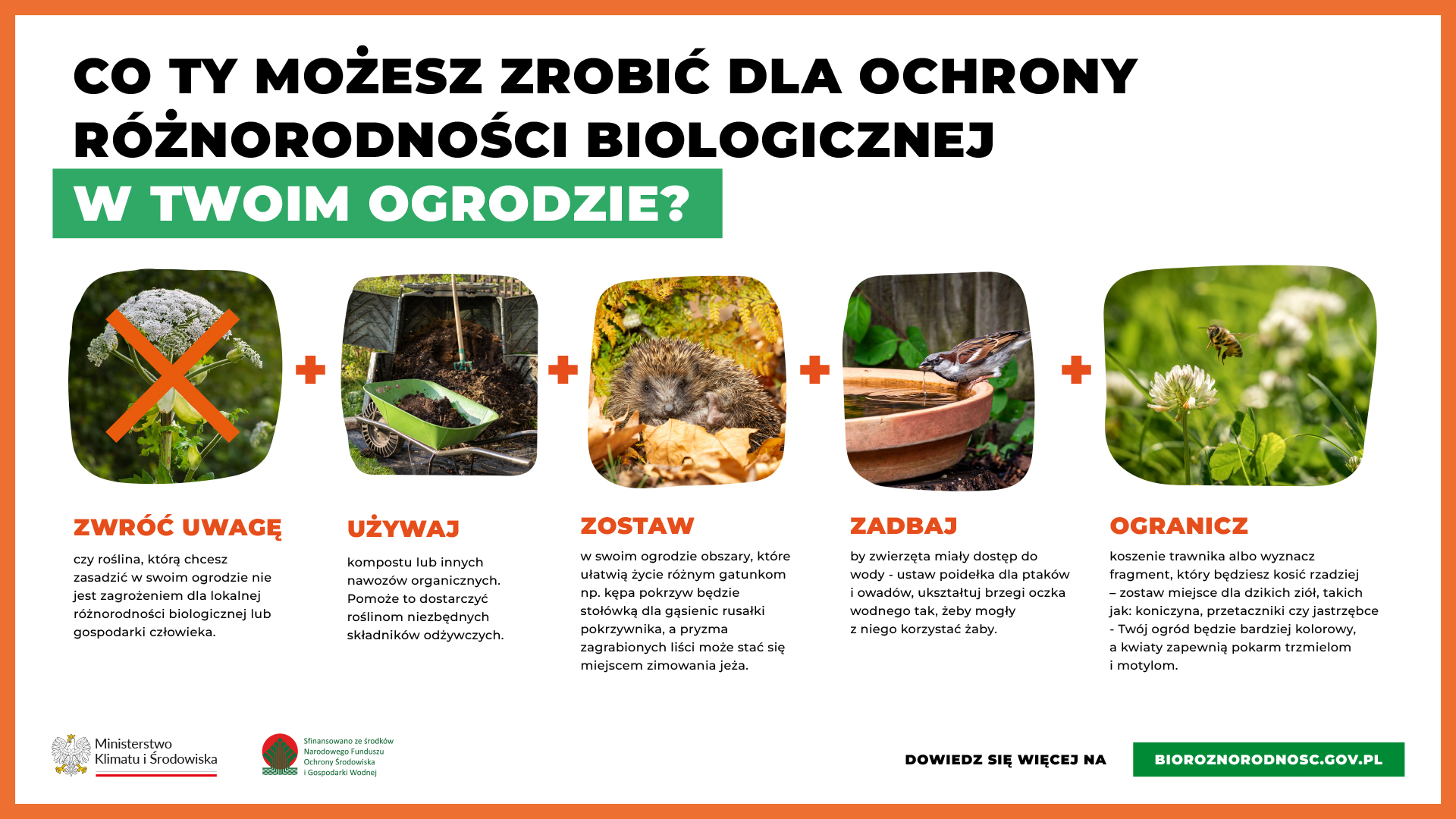 bioróżnorodność