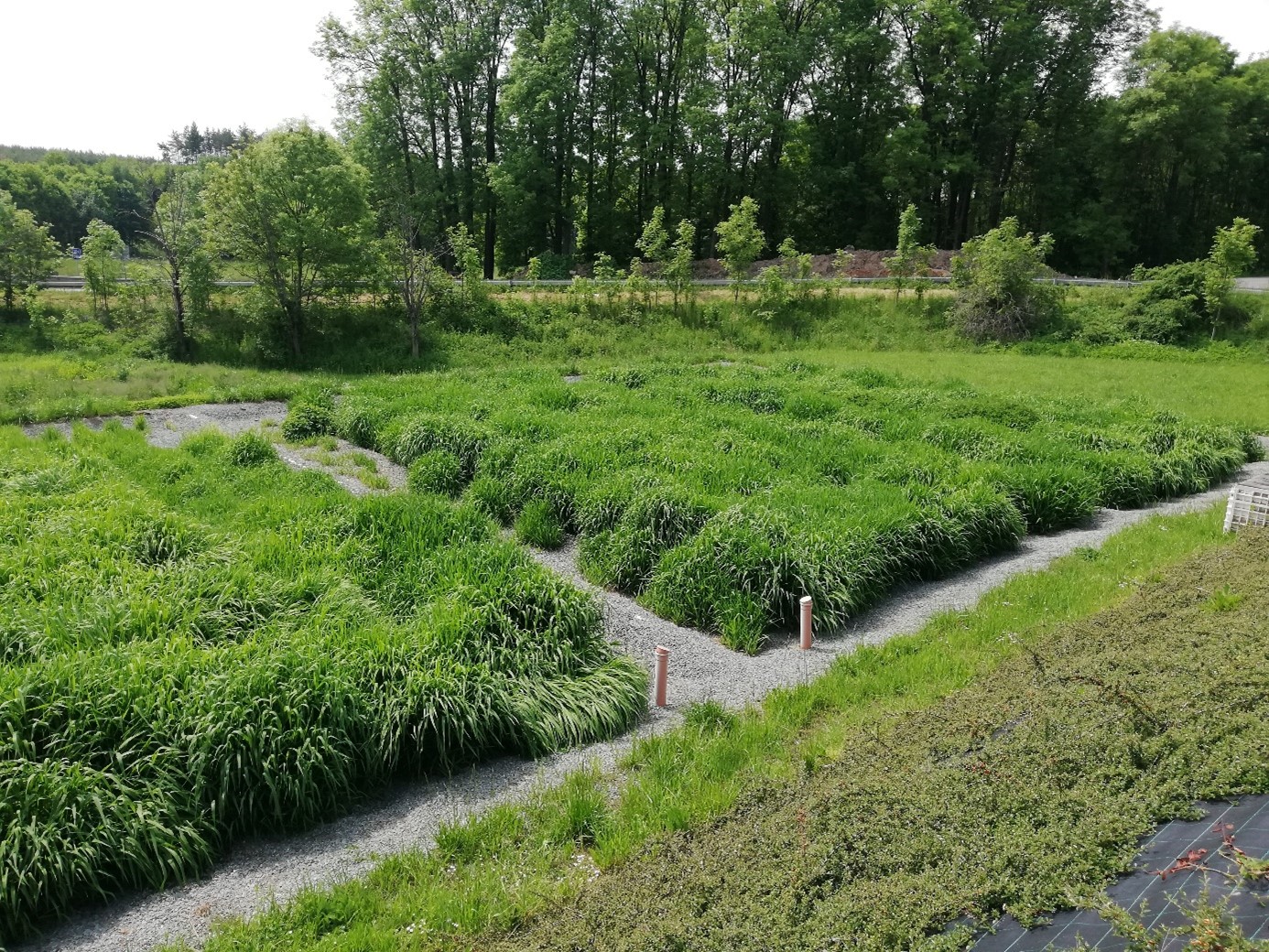 oczyszczalnia ścieków Velka Jasenice