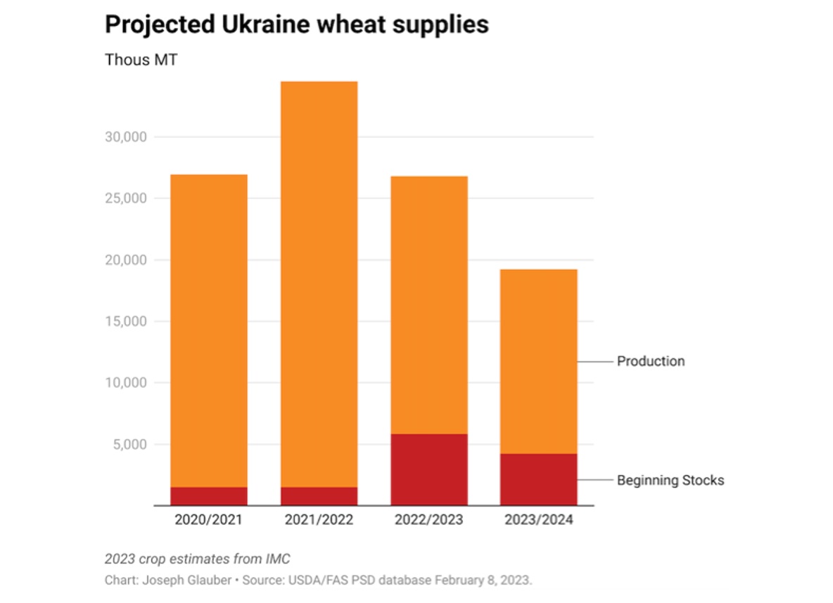 Ukraina zboża