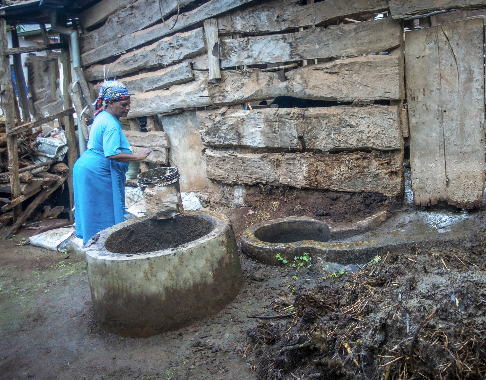 Biogazownie w Tanzani: Polska Fundacja pomaga budować 