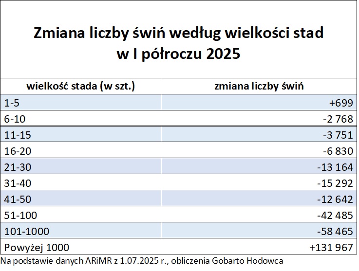trzoda chlewna zmiany