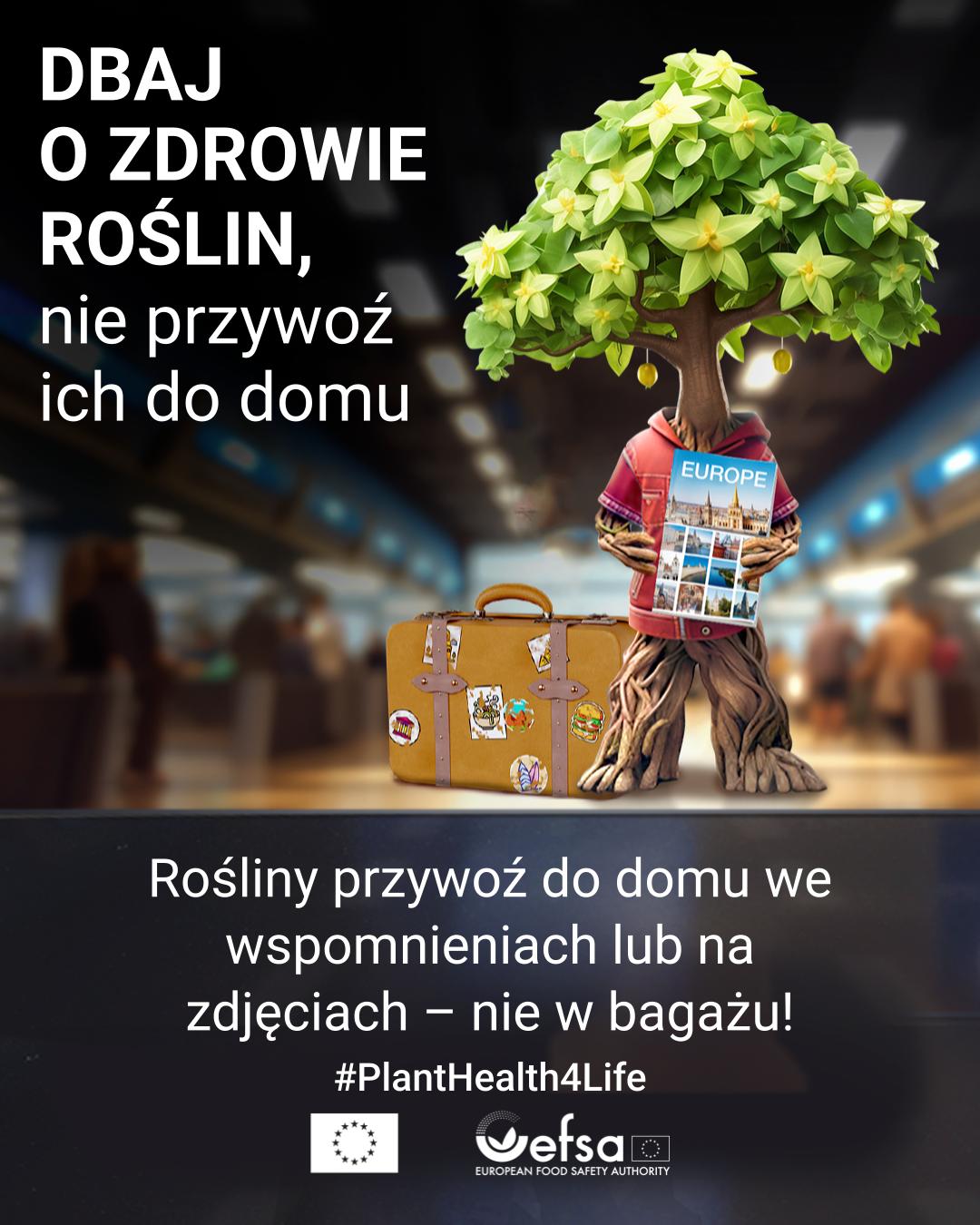 zdrowie roślin