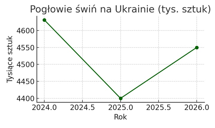 Ukraina_pogłowie świń