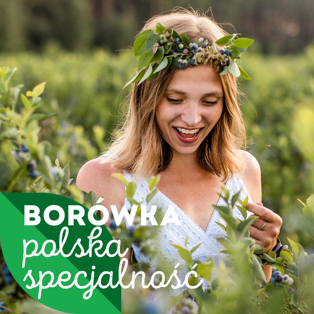 borówka polska