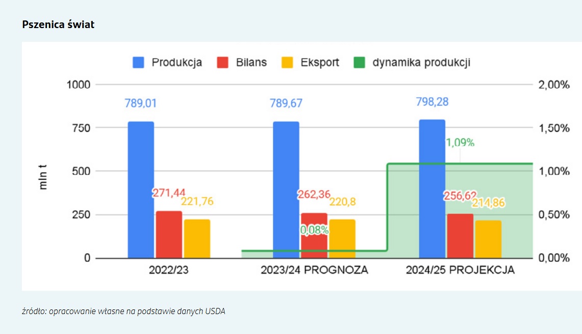 rynek rolny 2024_uprawy polowe