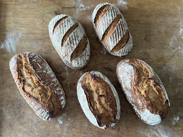 sommelier bread