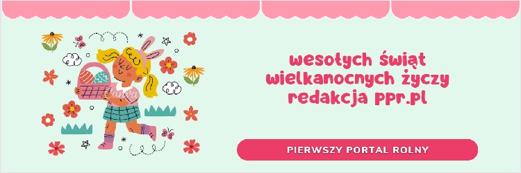 aa_wielkanoc