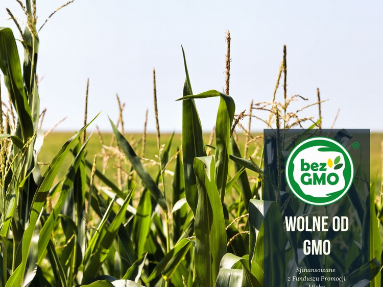Przybywa produktów „Bez GMO”, bo tego oczekują konsumenci
