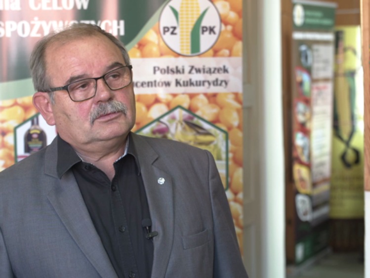 Kukurydza znalazła zastosowanie w przemyśle samochodowym czy produkcji bioplastiku. Większe uprawy zboża mogą być szansą dla polskich rolników