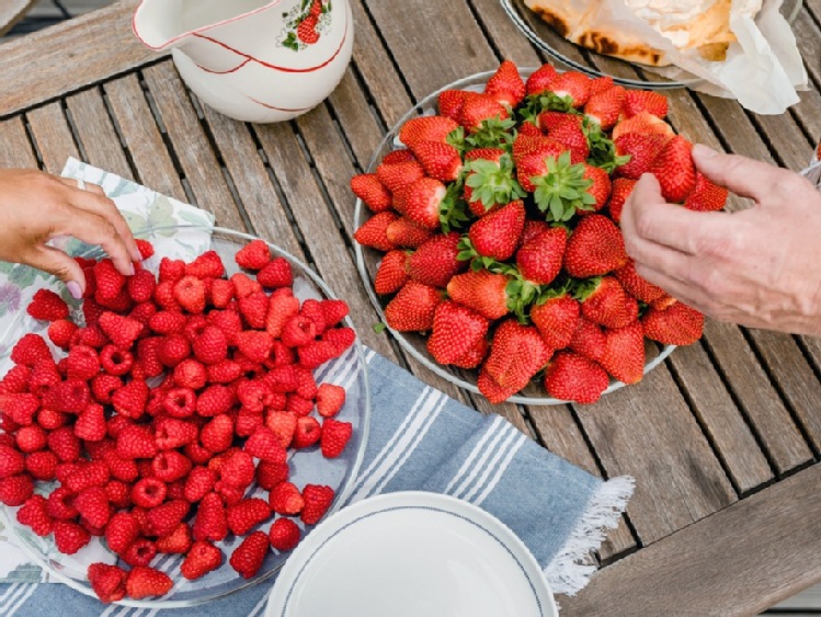 1 lipca - Dzień Owoców i Dzień Polskiej Borówki