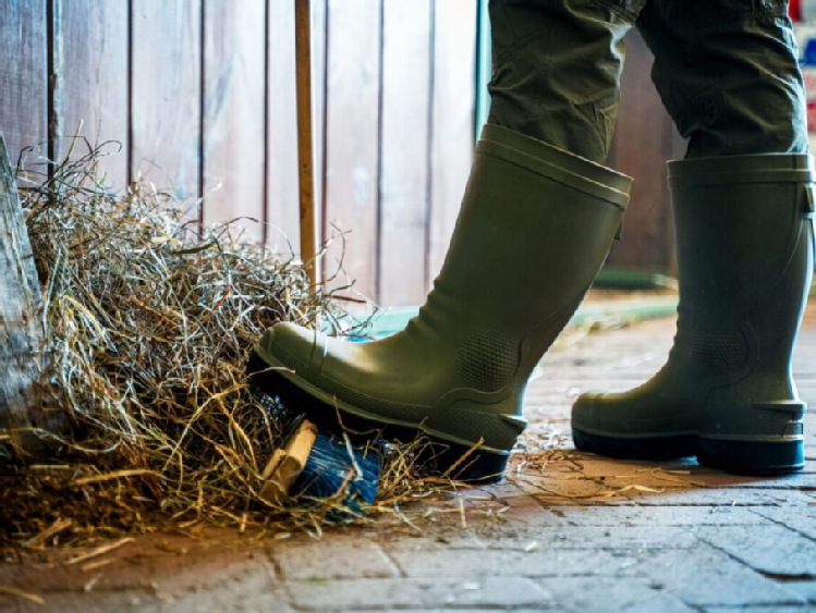 Test kaloszy rolniczych: wygoda, wodoodporność i trwałość