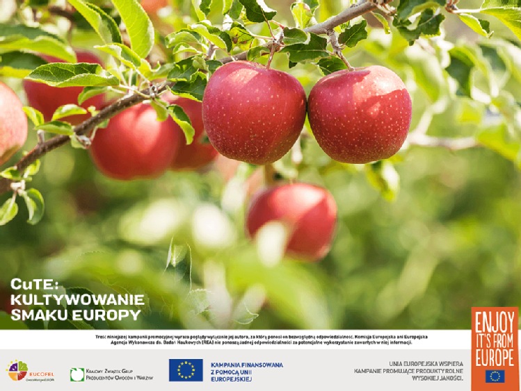 Polskie jabłka ponownie promowane w ramach międzynarodowej kampanii marketingowej