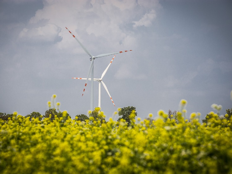 TAURON kupił farmy wiatrowe. Grupa podwoiła moc w wietrze