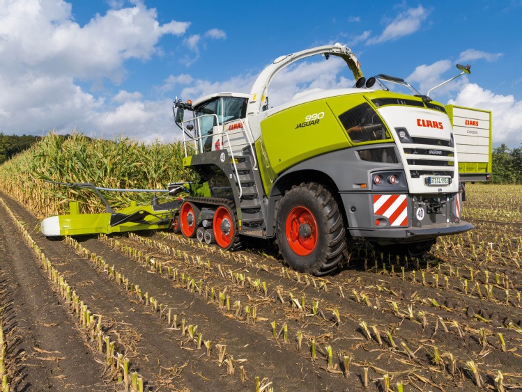 Uniwersytet Nauk Stosowanych w Osnabrück udowodnił wyraźne korzyści żywienia z wykorzystaniem technologii SHREDLAGE® w opasie buhajów