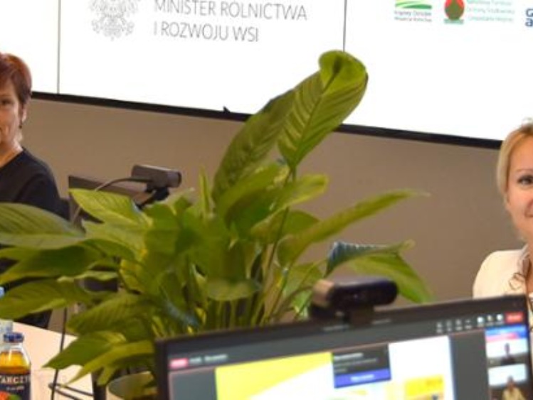 Wczorajszy webinar „Dotacje dla rolnictwa” z udziałem ministra rolnictwa