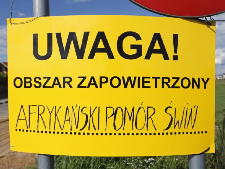 W ramach walki z ASF będą zmiany w przepisach dot. chowu i rejestracji zwierząt