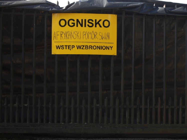 Wykryto 22. ognisko ASF