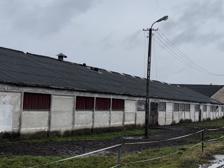 Trzeba wymieniać azbestowe dachy
