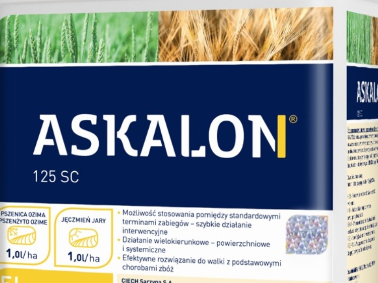 ASKALON® 125 SC - efektywne rozwiązanie do walki z podstawowymi chorobami zbóż