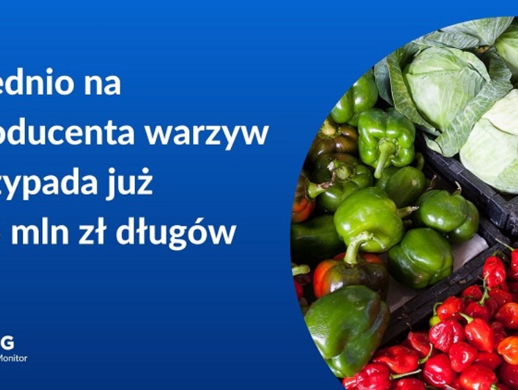 BIG InfoMonitor: Ponad 35 mln zł zaległości z warzyw i owoców