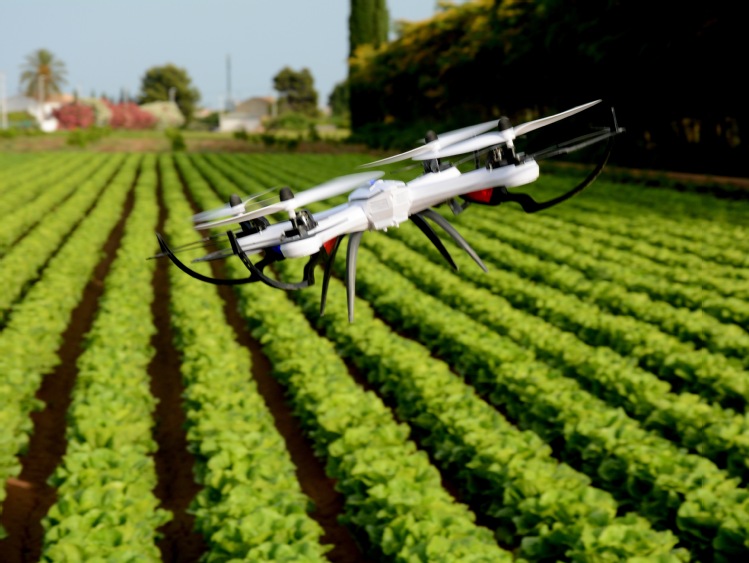 Bayer: innowacje wspierające rolnictwo zrównoważone odpowiedzią na wyzwania