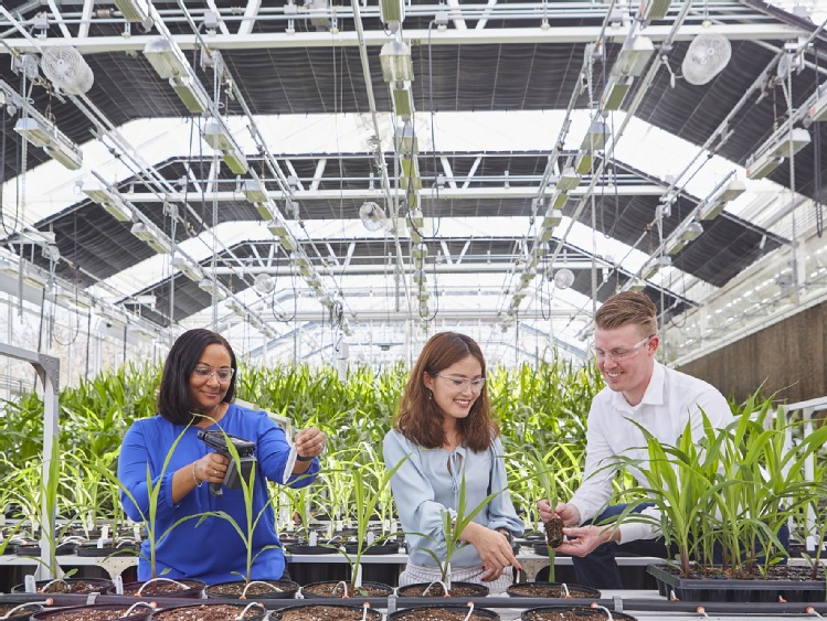 Bayer: rolnictwo zrównoważone dzięki innowacjom