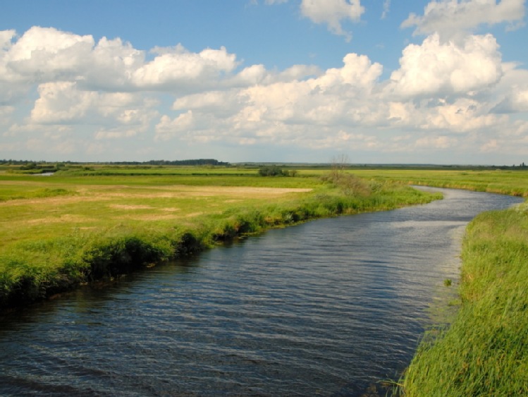 Podlaskie/ Nad Biebrzą koszono bagienne łąki dla przyrody