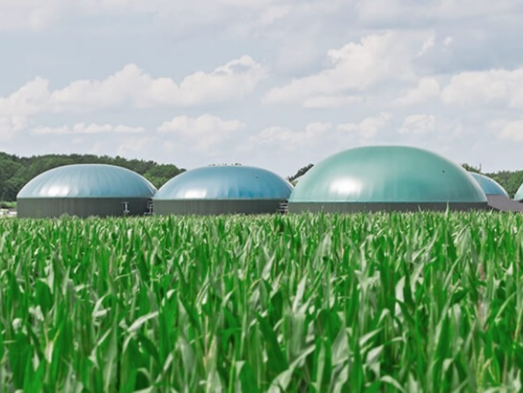 Kryzys nawozowy i gazowy szansą na rozwój biogazowni w Polsce
