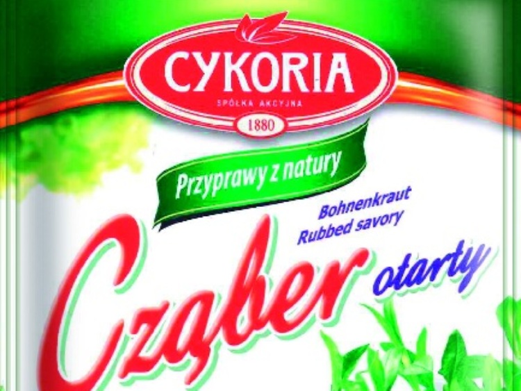 Cząber Cykoria