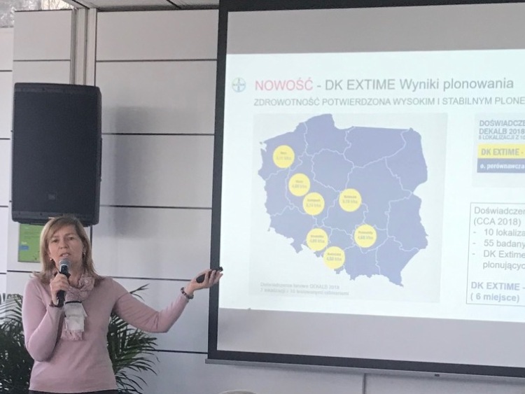 Bezpieczeństwo i zrównoważenie