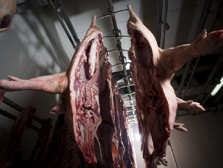 Eksport wieprzowiny w I wzrósł rdr o 17 proc. - ARR