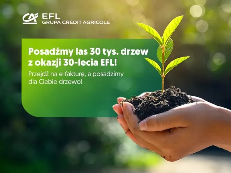 30 tysięcy drzew na 30 lat działalności. EFL posadzi las na Warmii