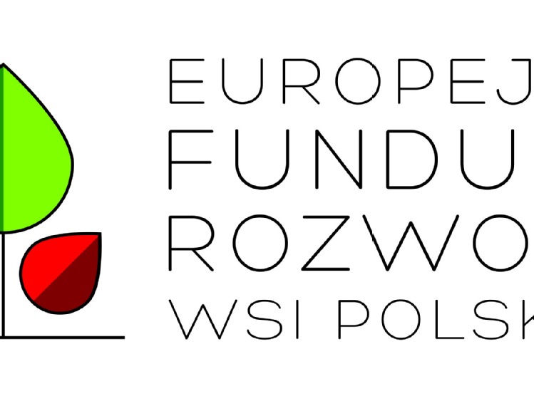Angielski twoją szansą! Trwa rekrutacja do programu Youngster