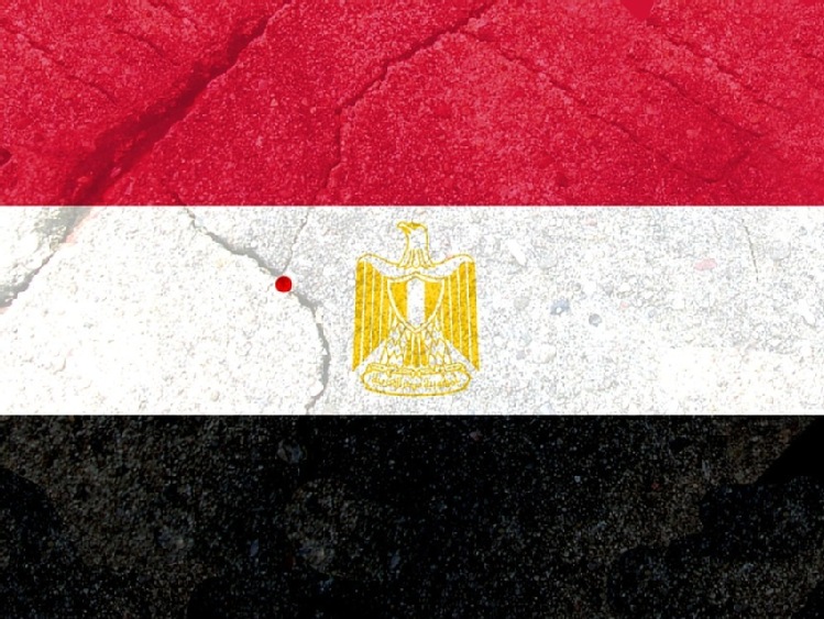 Egipt zakazuje importu drobiu