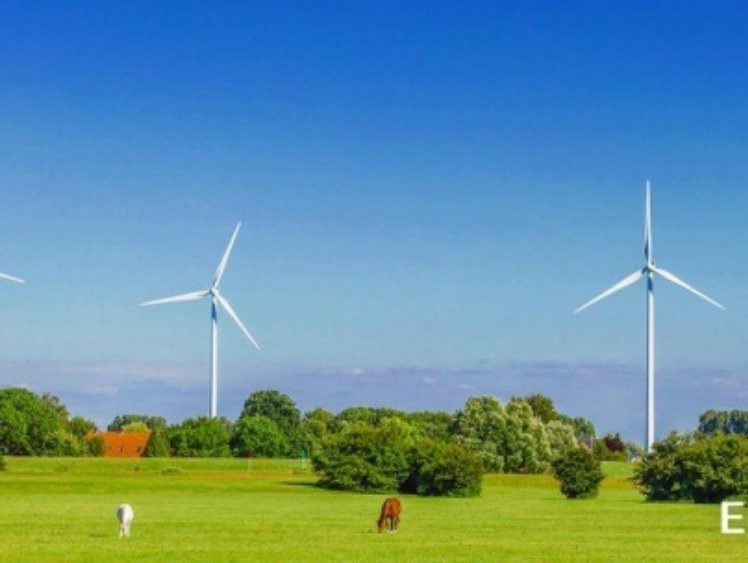 Enefit Green 3,5 razy zwiększył wolumen energii wytwarzanej z OZE