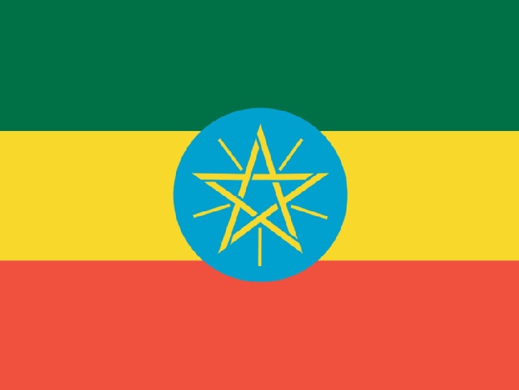 Prezydent Etiopii: jesteśmy otwarci na inwestycje dot. przemysłu lekkiego i rolnictwa