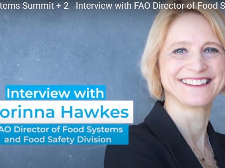 Wywiad z Corinną Hawkes, dyrektorem FAO Division of Food Systems and Safety Food